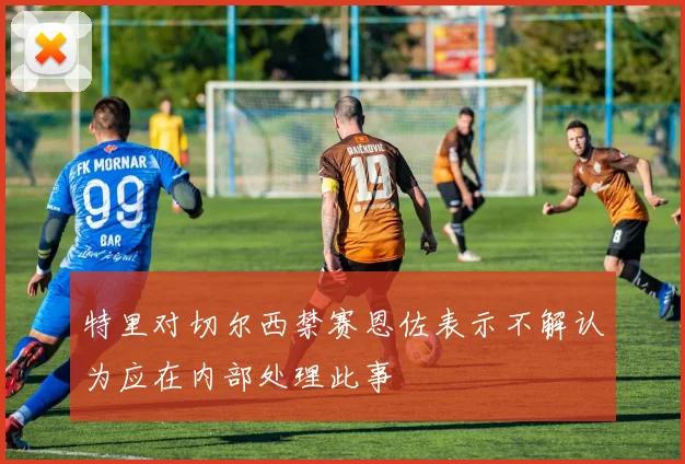 特里对切尔西禁赛恩佐表示不解认为应在内部处理此事