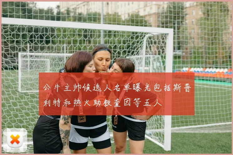 公牛主帅候选人名单曝光包括斯普利特和热火助教奎因等五人